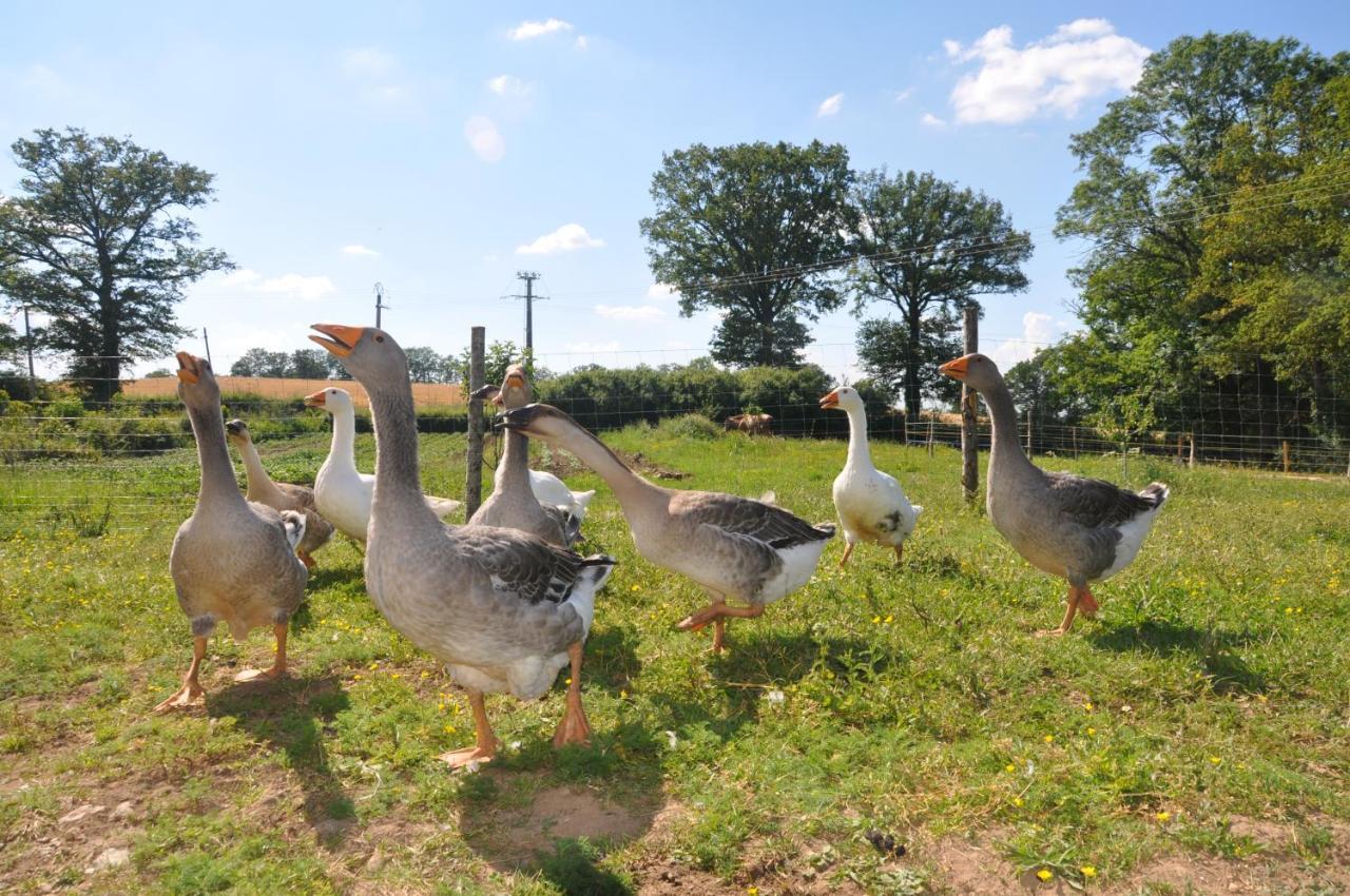 Вілла La Ferme Aux Cinq Sens Bussiere-Boffy Екстер'єр фото