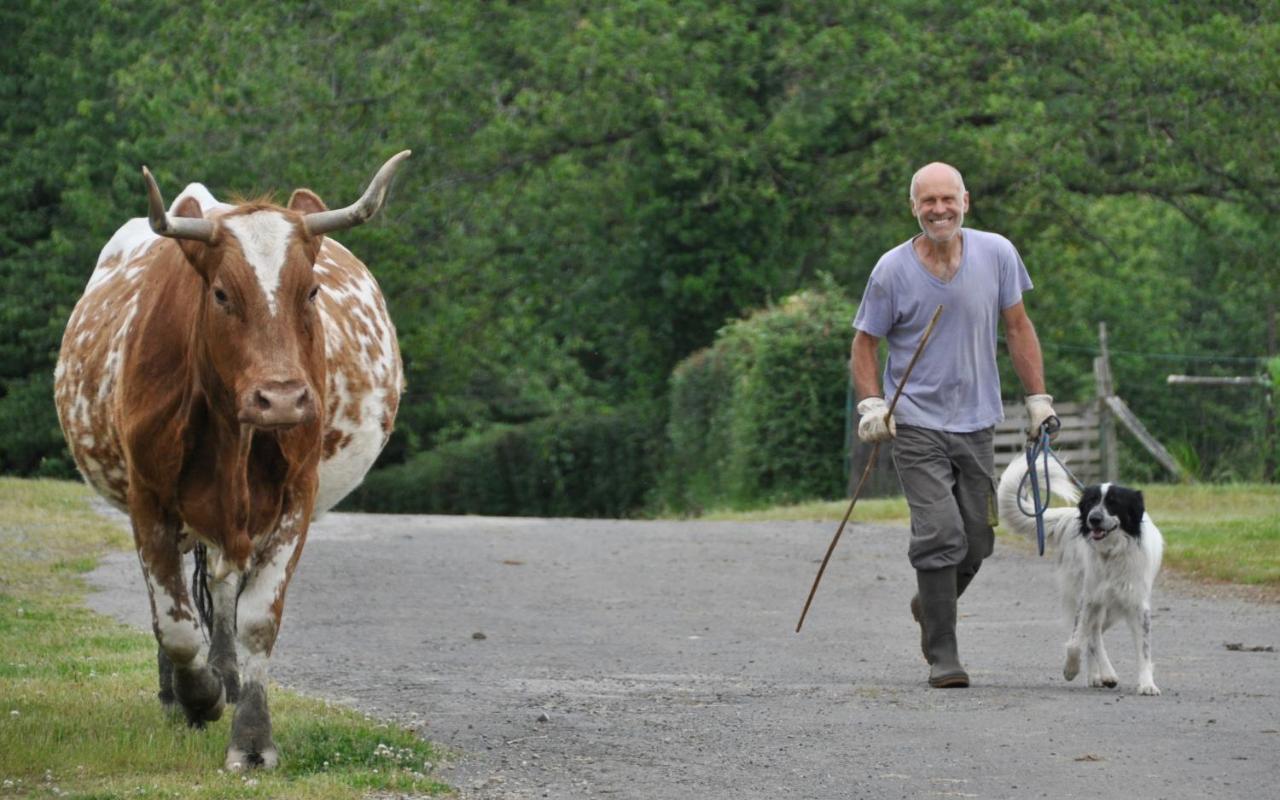 Вілла La Ferme Aux Cinq Sens Bussiere-Boffy Екстер'єр фото